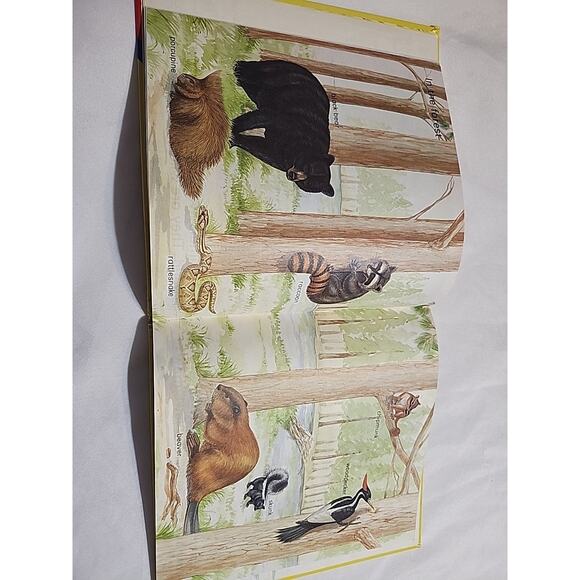 Lets Look At Animals Play & Learn 4-7 Years by Karen O'Callaghan - Picture 10 of 10